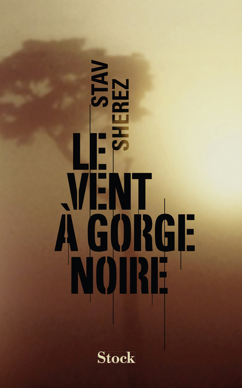 Cover image for book Le vent à gorge noire