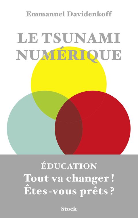 Cover image for book Le tsunami numérique