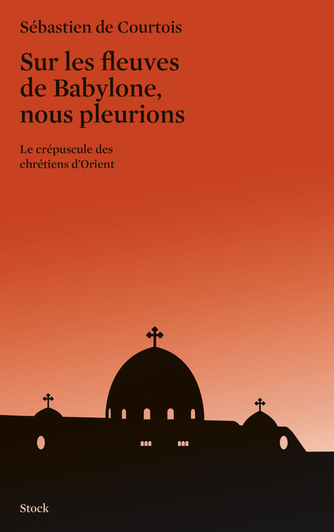 Cover image for book Sur les fleuves de Babylone, nous pleurions