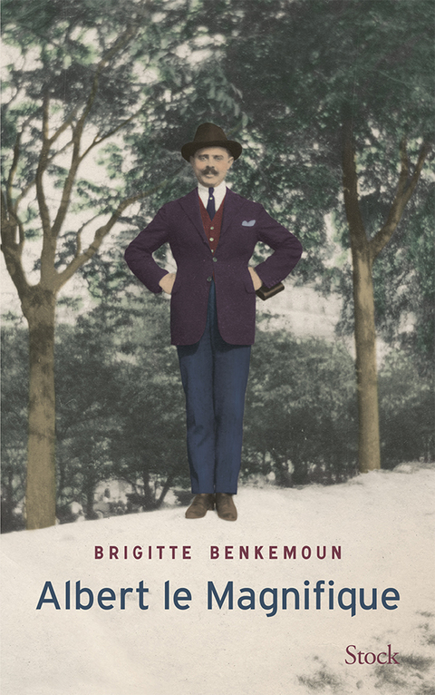 Cover image for book Albert le Magnifique
