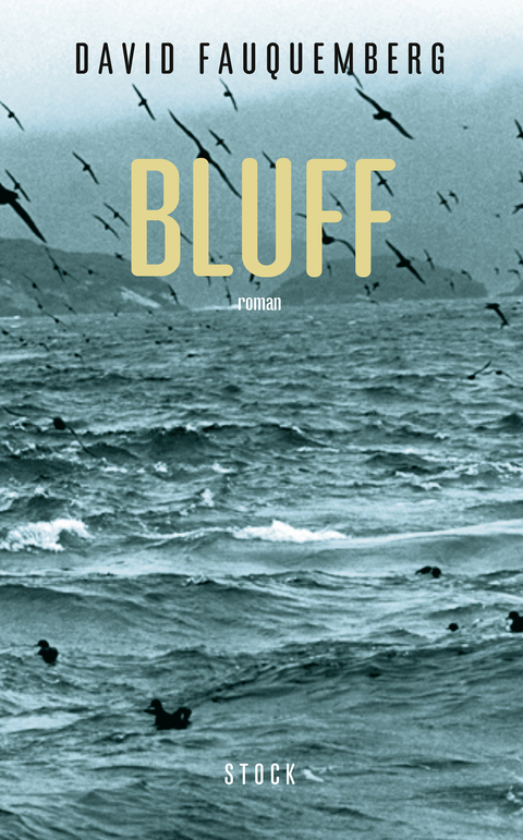 Cover image for book Bluff
