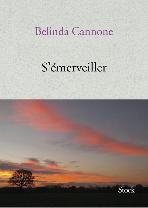 Cover image for book S'émerveiller