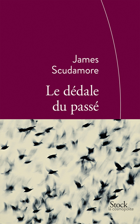 Cover image for book Le dédale du passé