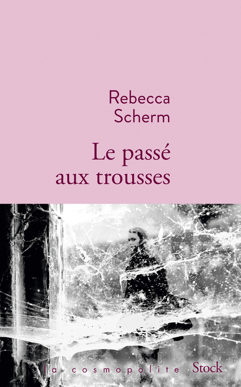 Cover image for book Le passé aux trousses