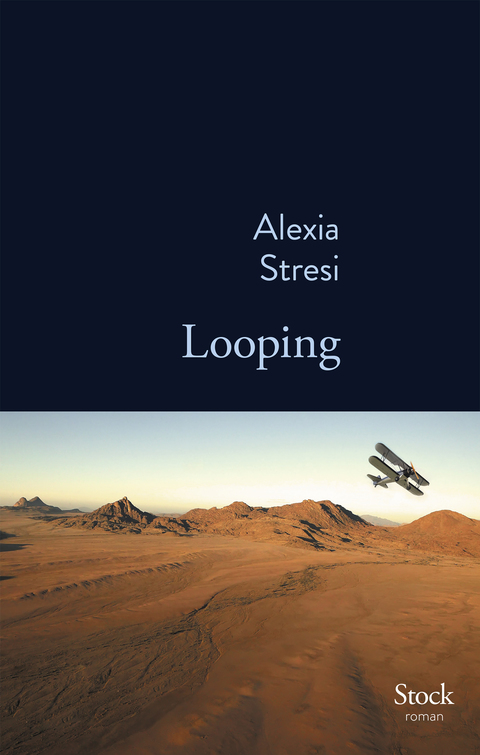 Cover image for book Looping