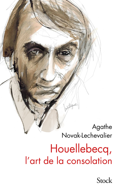 Cover image for book Houellebecq, l'art de la consolation