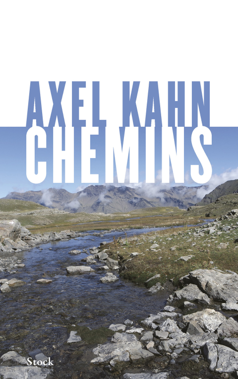 Cover image for book Chemins