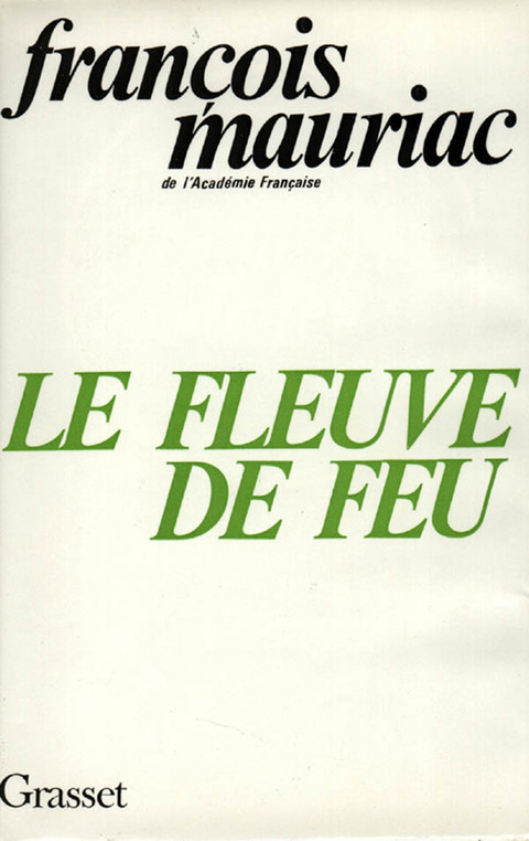 Cover image for book Le fleuve de feu