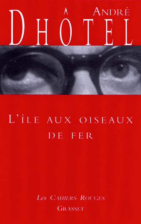 Cover image for book L'île aux oiseaux de fer