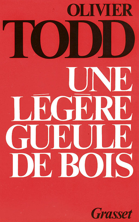 Cover image for book Une légère gueule de bois