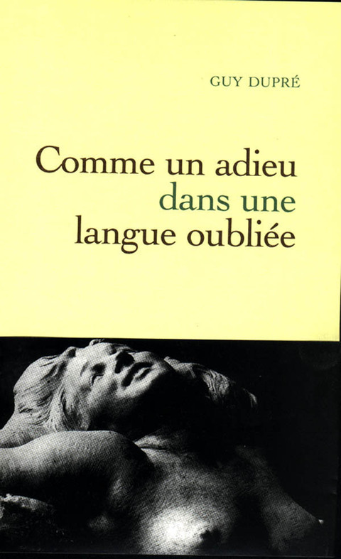 Cover image for book Comme un adieu dans une langue oubliée