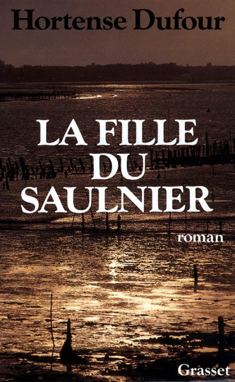 Cover image for book La fille du saulnier