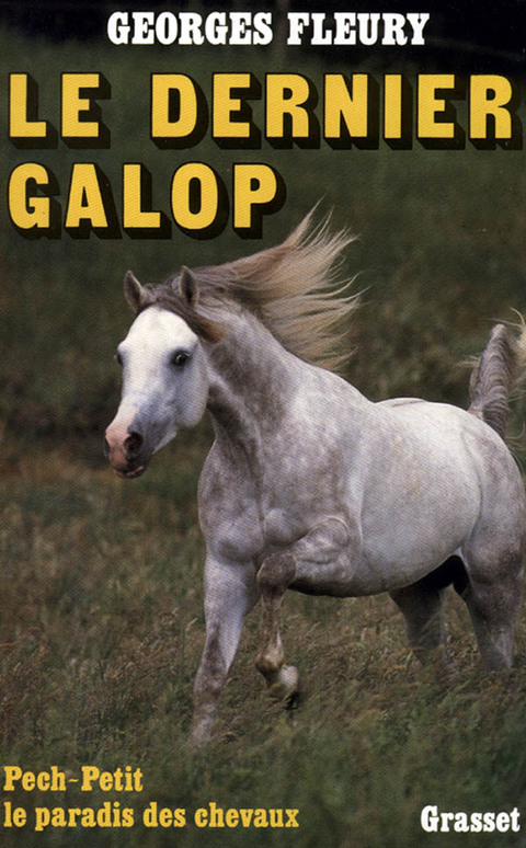 Cover image for book Le dernier galop