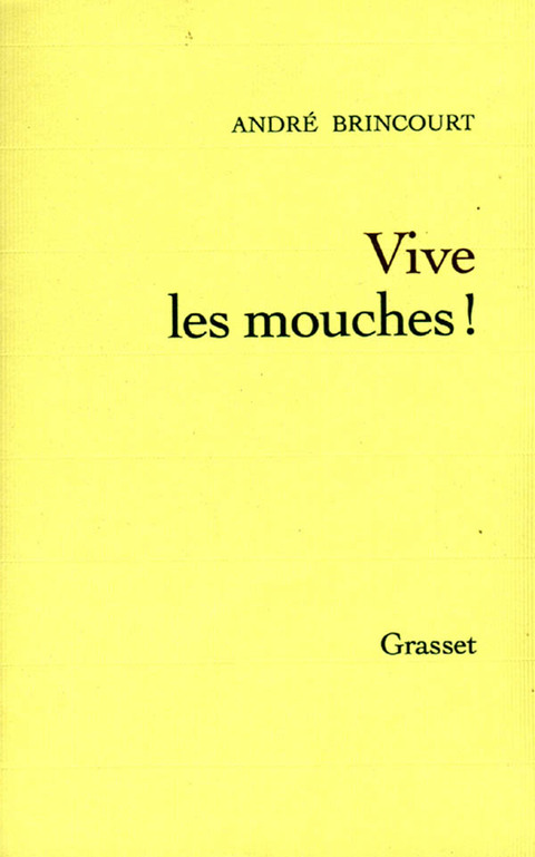 Cover image for book Vive les mouches !