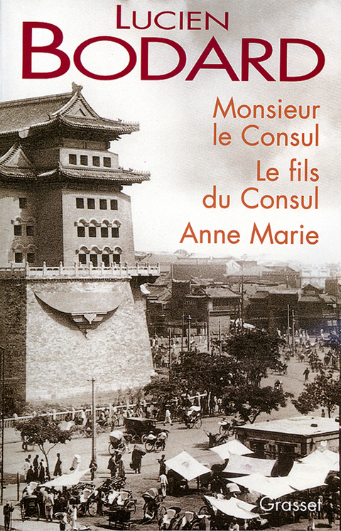 Cover image for book Monsieur le Consul - Le fils du Consul - Anne Marie