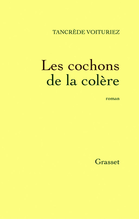 Cover image for book Les grandes perturbations surviennent dans les régions...