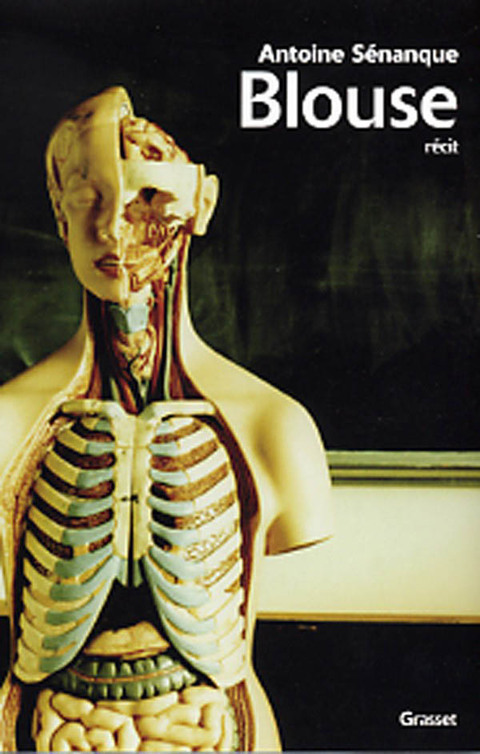 Cover image for book Blouse