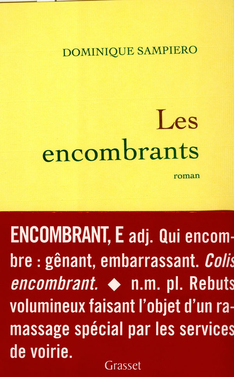 Cover image for book Les encombrants