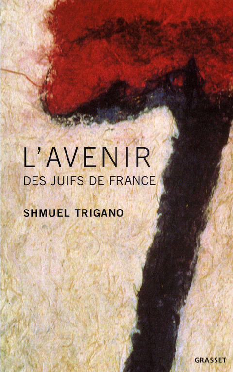 Cover image for book L'avenir des juifs de France