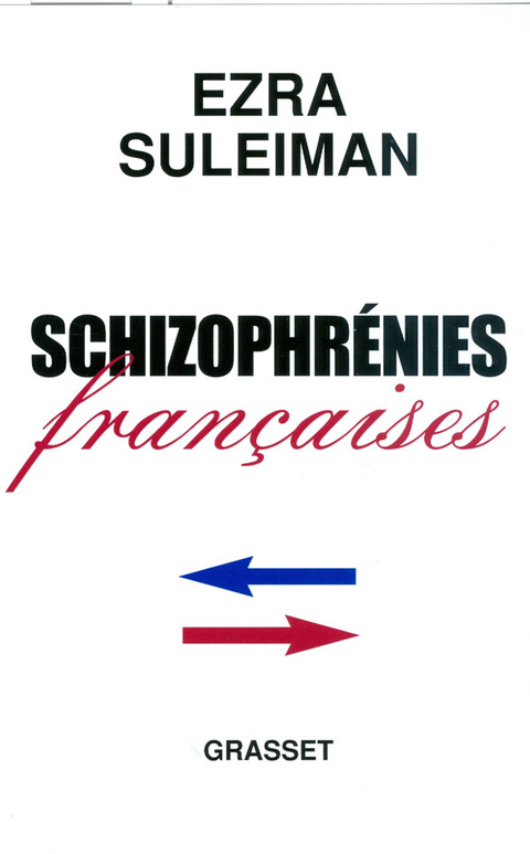 Cover image for book Schizophrénies françaises