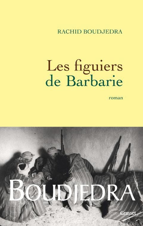 Cover image for book Les figuiers de Barbarie