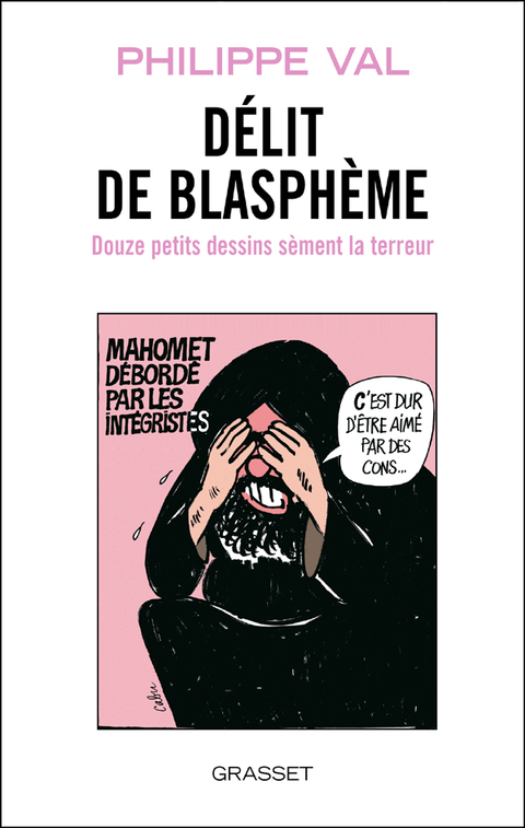 Cover image for book Reviens, Voltaire, ils sont devenus fous