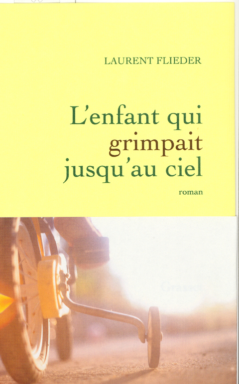 Cover image for book L'Enfant qui grimpait jusqu'au ciel