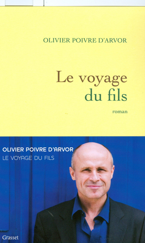 Cover image for book Le voyage du fils