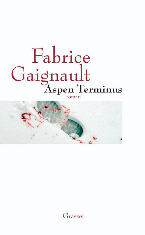 Cover image for book Aspen terminus