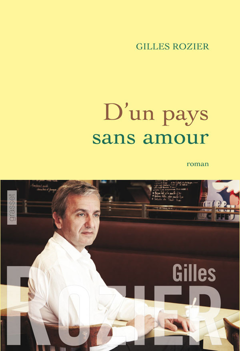 Cover image for book D'un pays sans amour