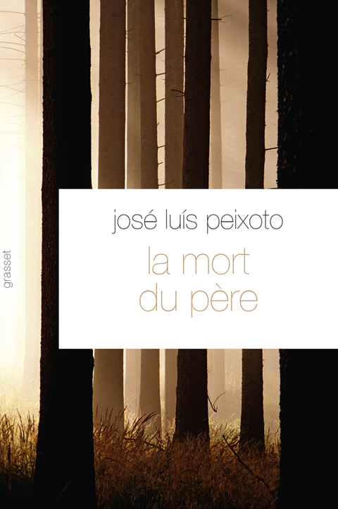 Cover image for book La mort du père