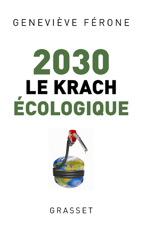 Cover image for book 2030 le krach écologique