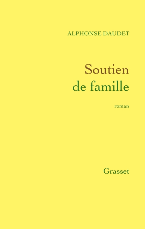 Cover image for book Soutien de famille