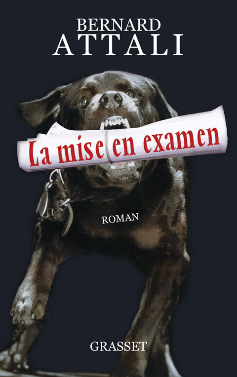 Cover image for book La mise en examen