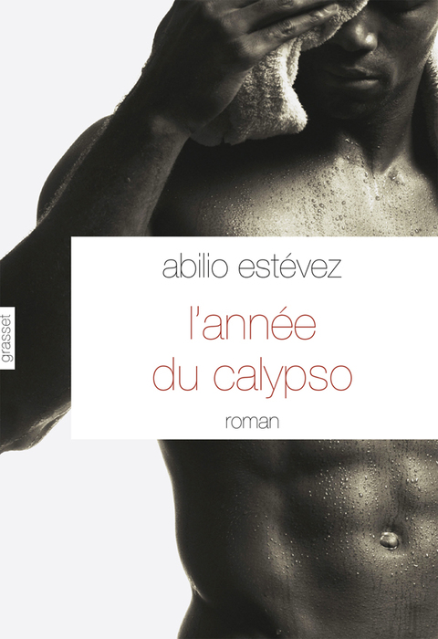 Cover image for book L'année du calypso