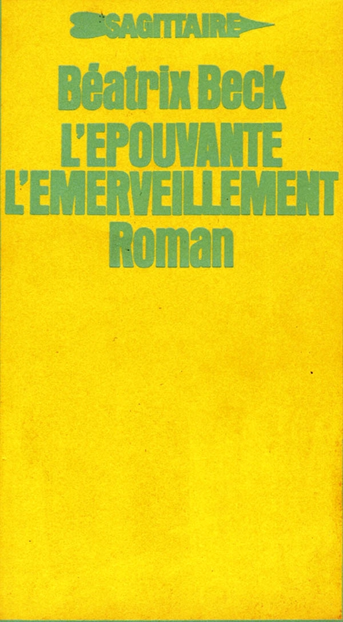 Cover image for book L'épouvante, l'émerveillement