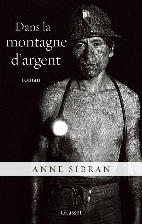 Cover image for book Dans la montagne d'argent