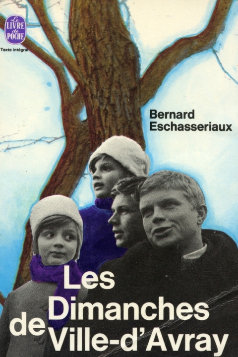 Cover image for book Les dimanches de Ville d'Avray