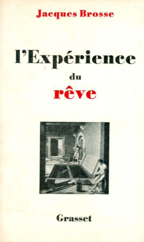 Cover image for book L'expérience du rêve