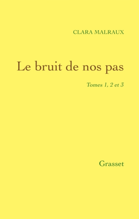 Cover image for book Le bruit de nos pas