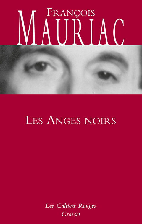 Cover image for book Les anges noirs