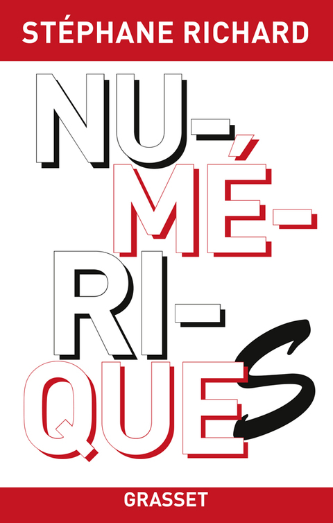 Cover image for book Numériques
