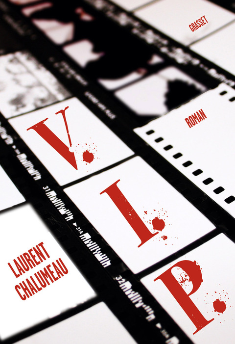 Cover image for book VIP