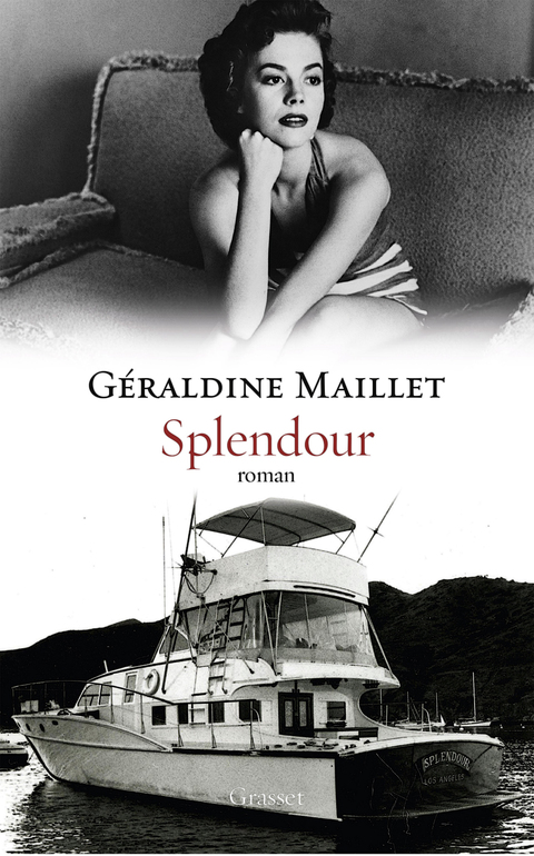 Cover image for book Splendour