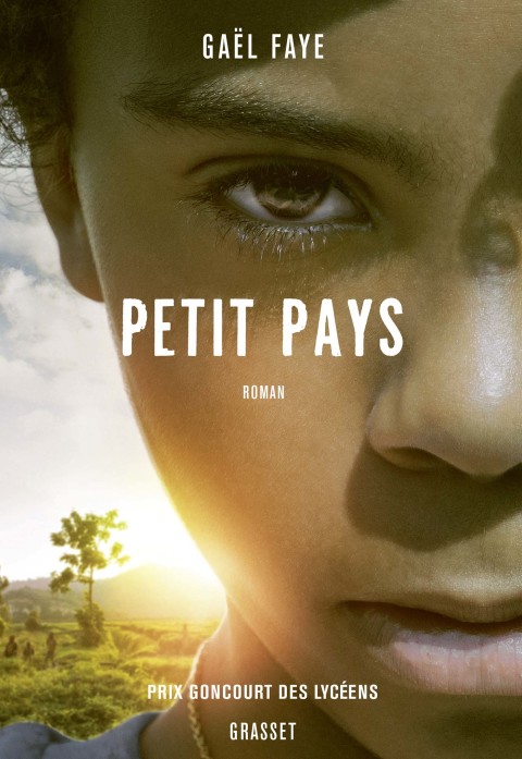 Cover image for book Petit pays