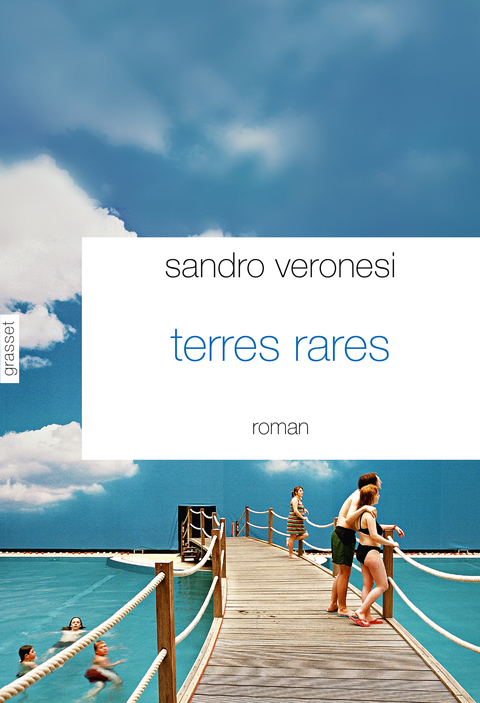 Cover image for book Terres rares