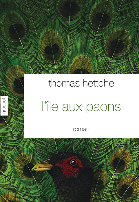 Cover image for book L'île aux paons