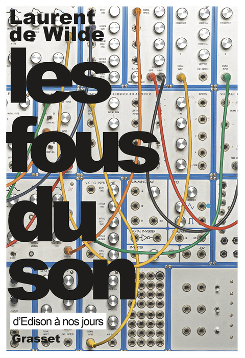 Cover image for book Les fous du son