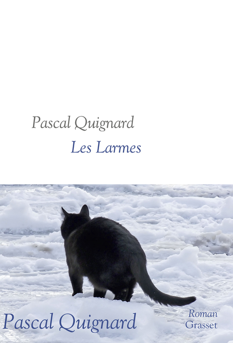 Cover image for book Les larmes