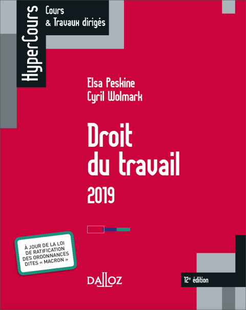 Cover image for book Droit du travail 2019